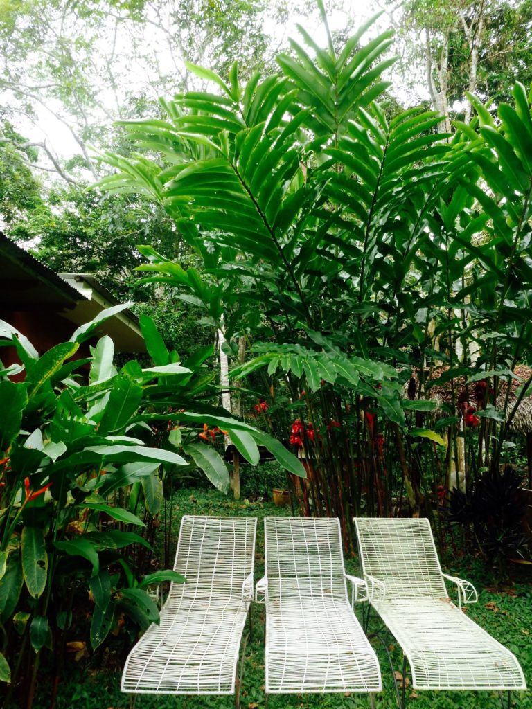 Loungers outside of Okopua to relax and let the jungle in