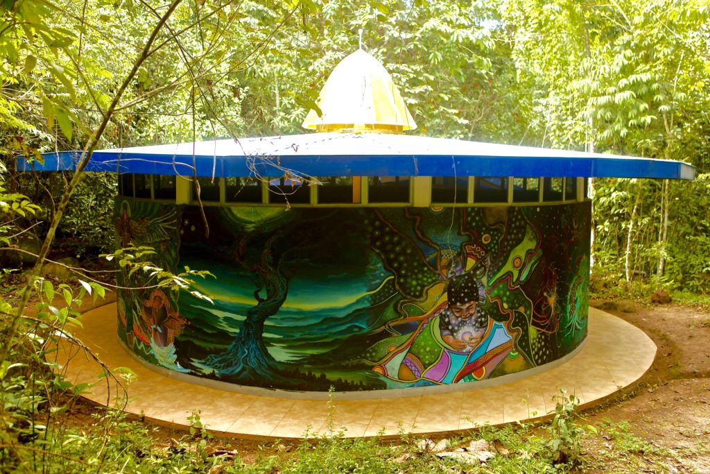 La Astronave, a purpose built gallery in honor of the Goddess Ayahuasca!