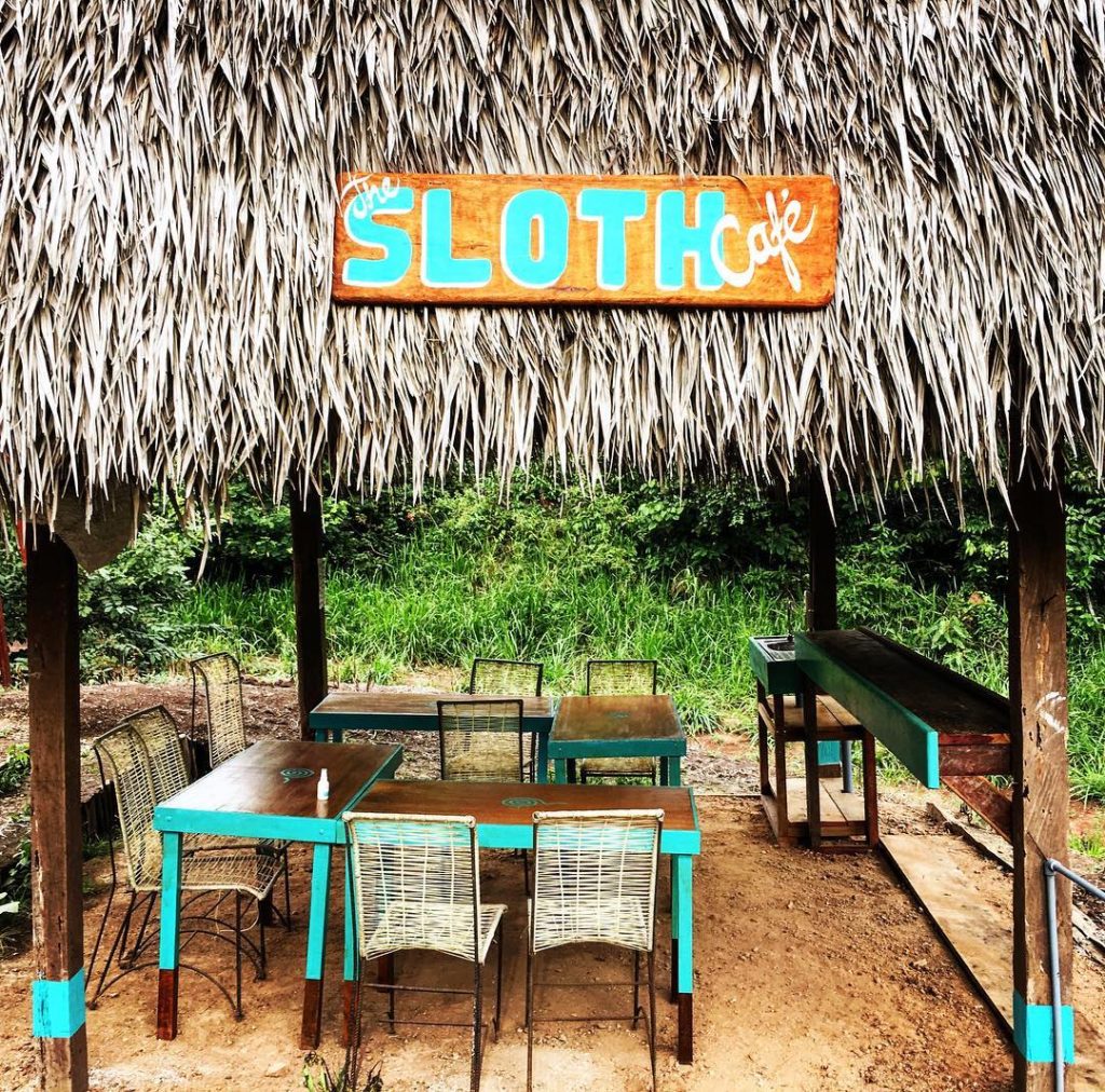 Hanging out in the Sloth Cafe...