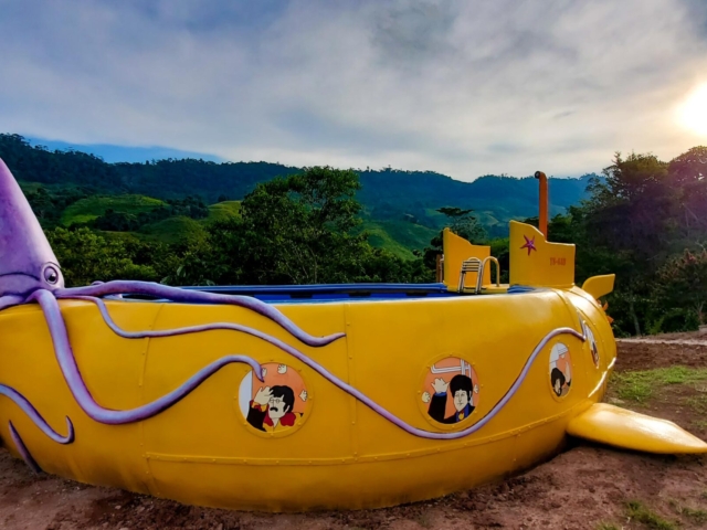 A Yellow Submarine pool with a view!