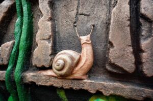 A snaily little detail at the entrance